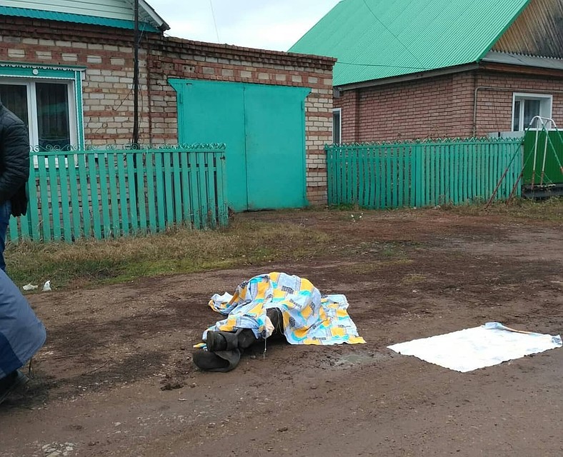 Фото: соцсети