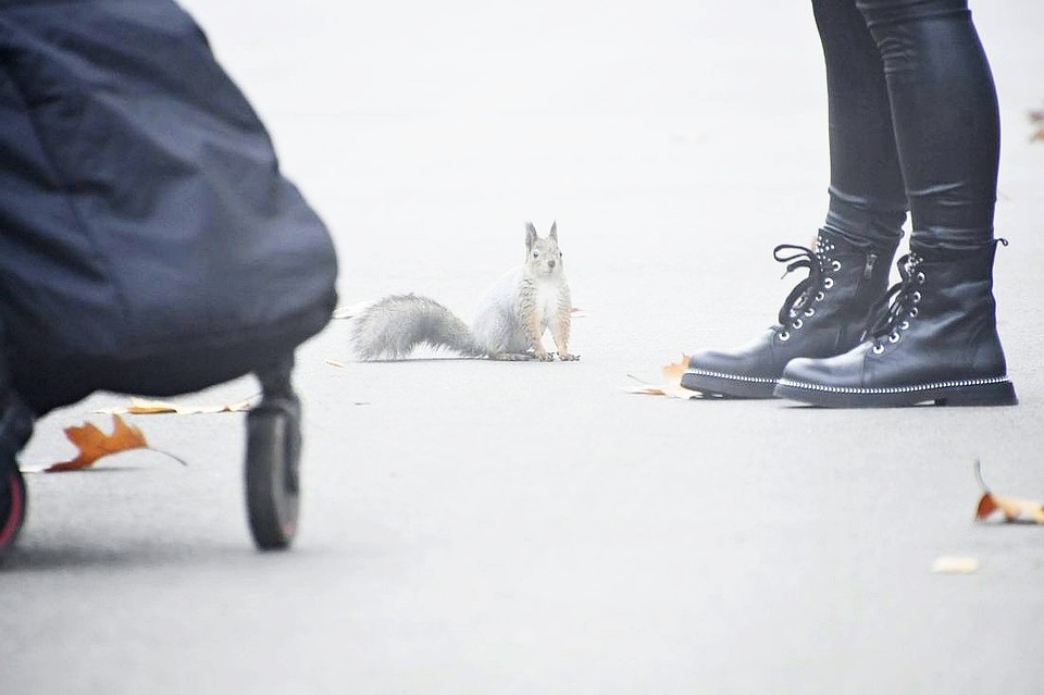 Фото: Алексей ФОКИН