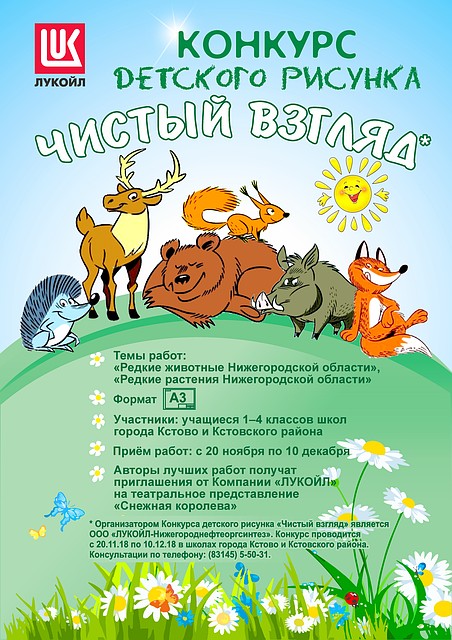 Конкурс «Чистый взгляд» от компании «ЛУКОЙЛ» стартует в Кстовском районе