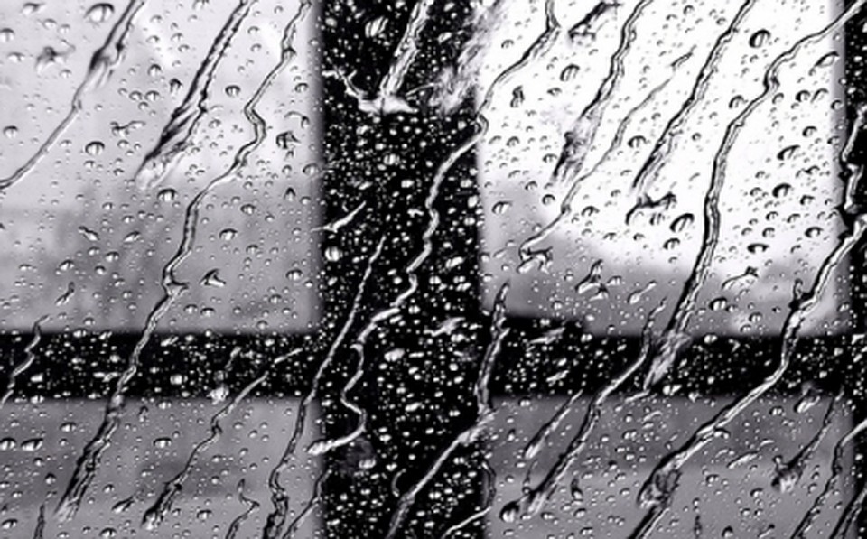 Фото:http://www.otvprim.ru/