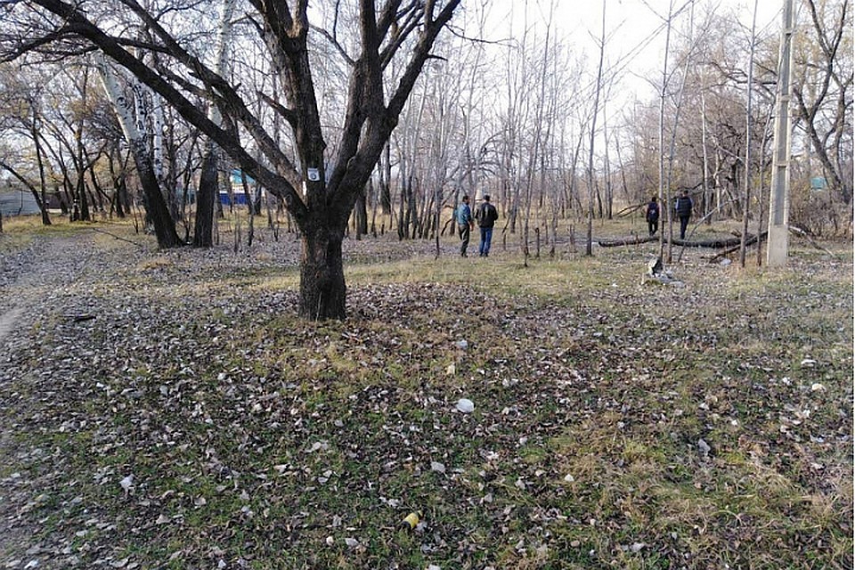 Заброшенный парк имени Гастелло в Хабаровске наконец-то приведут в порядок