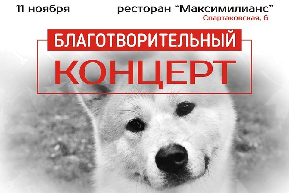 Начало концерта 11 ноября в 19:00.