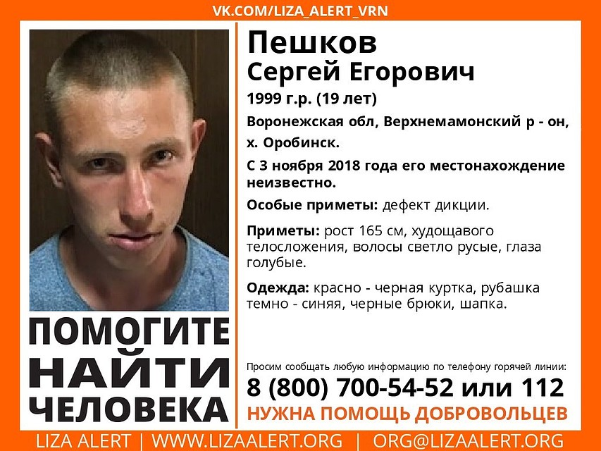 Ориентировка "Лиза Алерт"