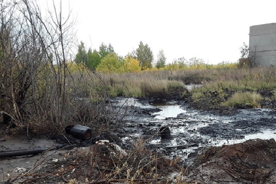 Фото: eco.tatarstan.ru