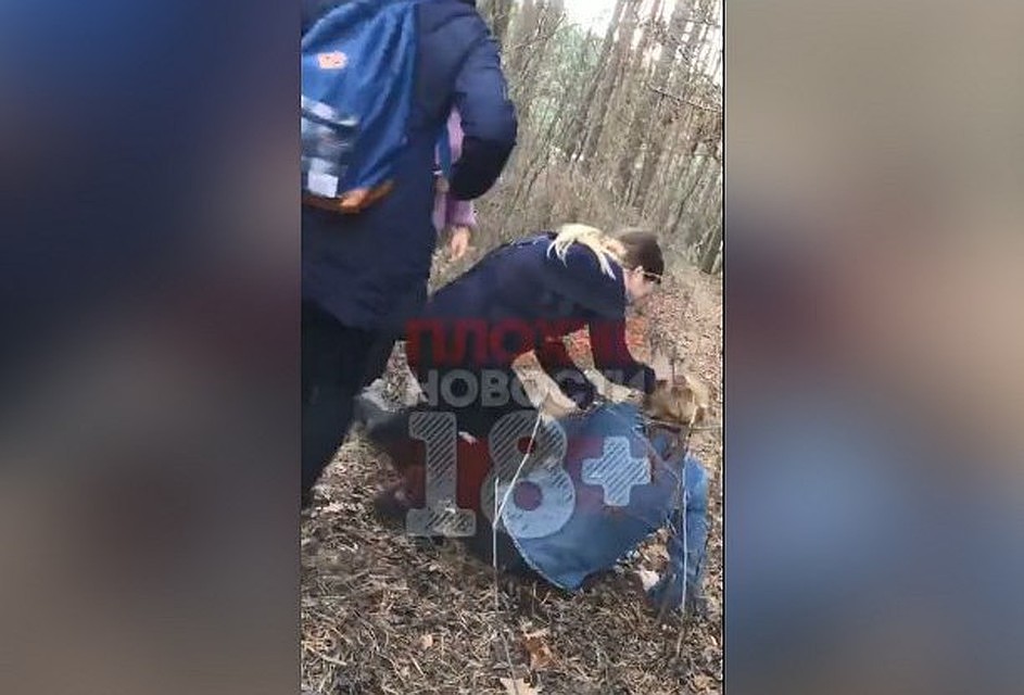 Кадр из видео