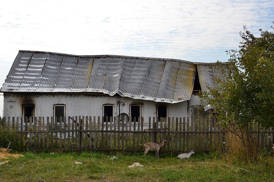 Фото: ryazpressa.ru