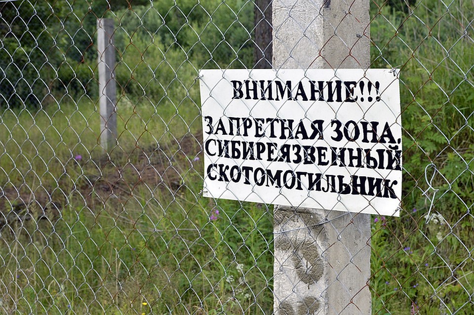 Эксперты: «Воры, укравшие забор с нижегородского скотомогильника сибирской язвы, не могли заразиться». ФОТО: Пресс-служба ЗСТО.