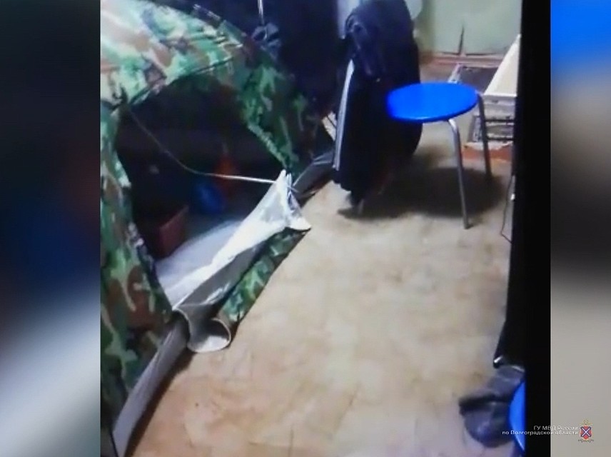В палатке для растений заботливый наркодилер создал райские условия.