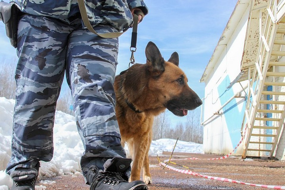 Полицейские разыскивают воровок, укравших у бабушки из Дюртюлей 85 тысяч рублей