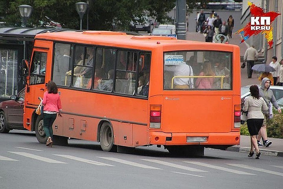 13 автобусов арестовали в 2018 году у частных перевозчиков за нелегальную работу.