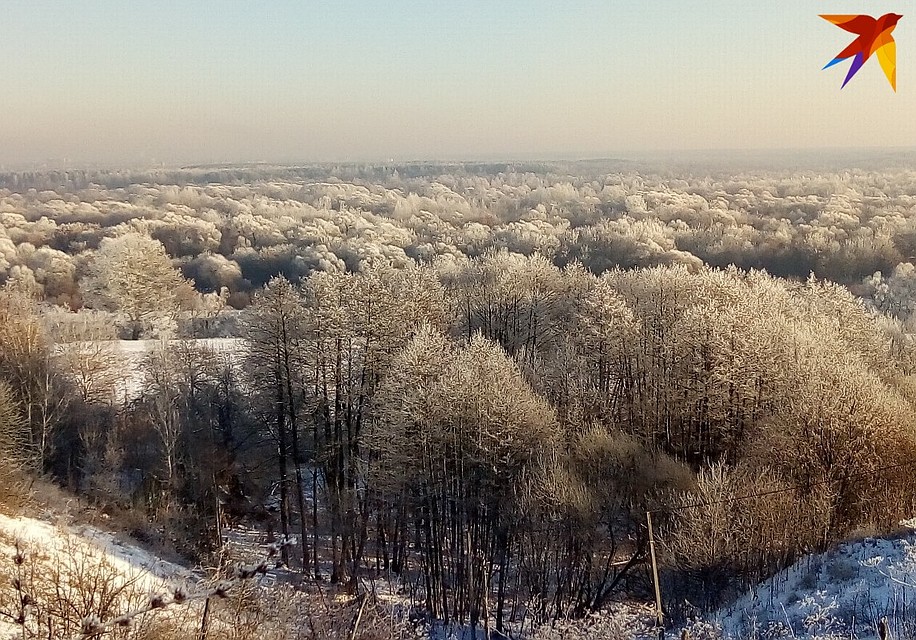 Фото: Мария Дедкова