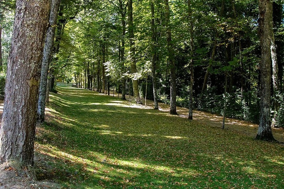 Фото: pixabay.com