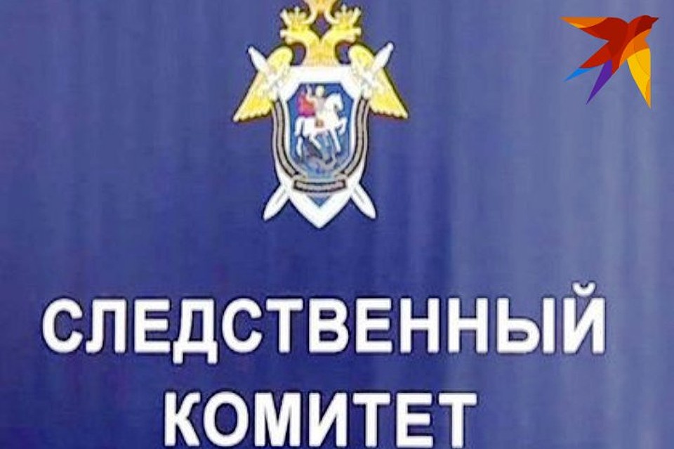 Официальных комментариев по поводу этого ЧП от СК пока нет
