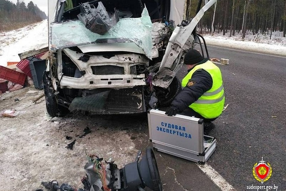 Водитель грузовика по предварительной информации уснул за рулем. Фото: sudexpert.gov.by.