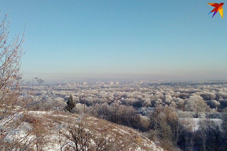 Фото: Мария ДЕДКОВА