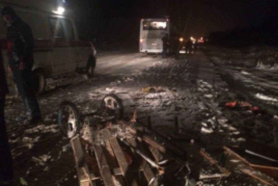 В Рыбинском районе автобус сбил пешехода. Фото: МЧС по Ярославской области.