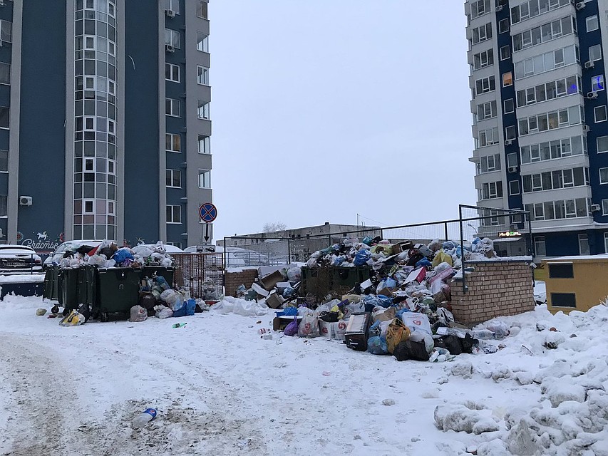 Вот так выглядят мусорки по ул. Ново-Садовая 106М