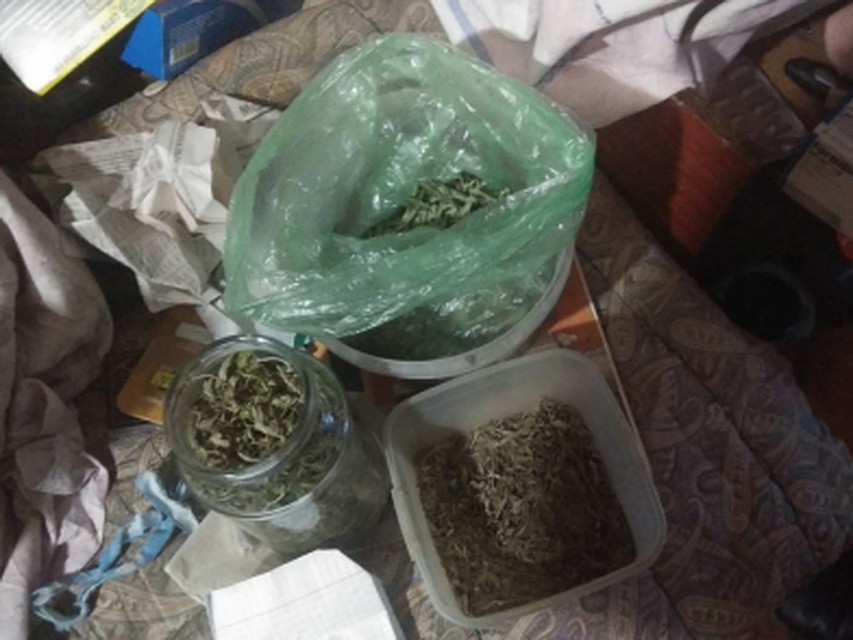 Дом был буквально забит марихуаной