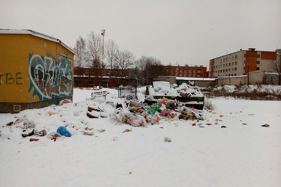 В некоторых псковских дворах мусор укрывает снег. Фото: Светлана Леусенко.