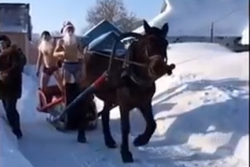 Липчане в одних трусах поехали кататься на лошади