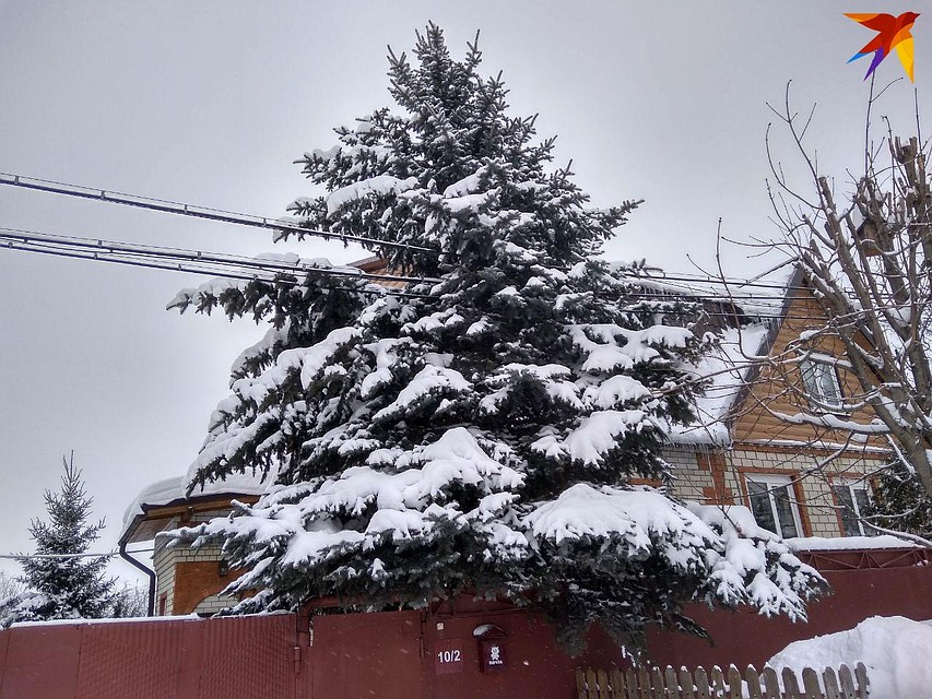 В Саратове будет холодно