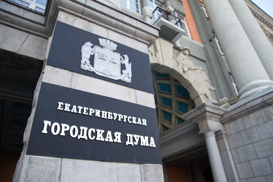 Женская депутатская группа будет курировать социальные вопросы, посвященные сферам материнства и детства