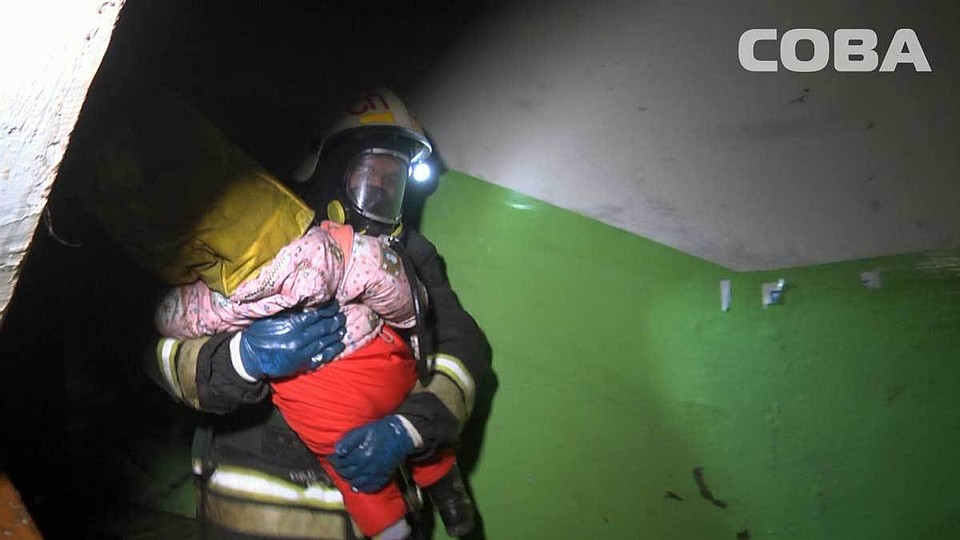Фото: служба спасения "Сова"