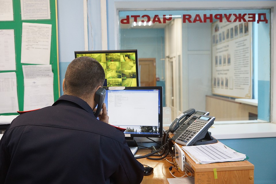 В Ленобласти задержан мужчина, забивший до смерти свою сожительницу.