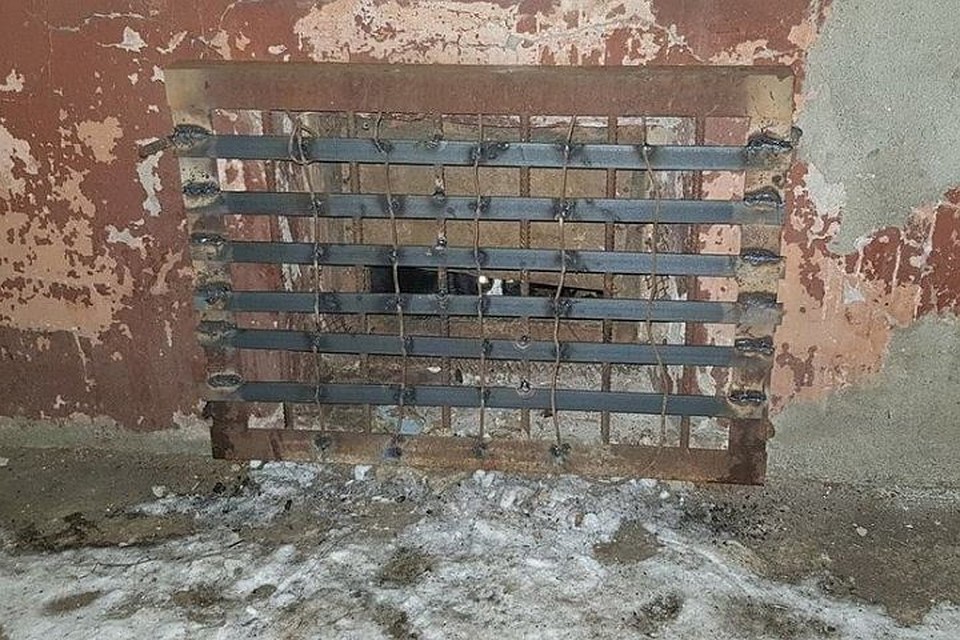 Вначале замуровали котов на улице Мариупольской, затем на Вагнера.