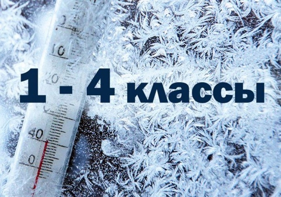 Занятия учеников 1-4 классов в школах Тюмени отменены