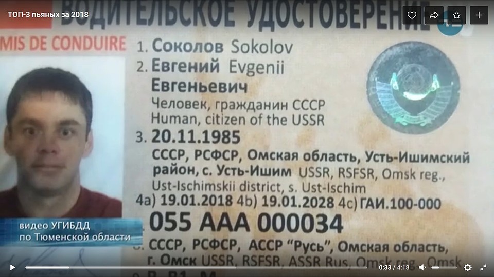 Фото: скриншот с видео (vk.com/dpraktika)