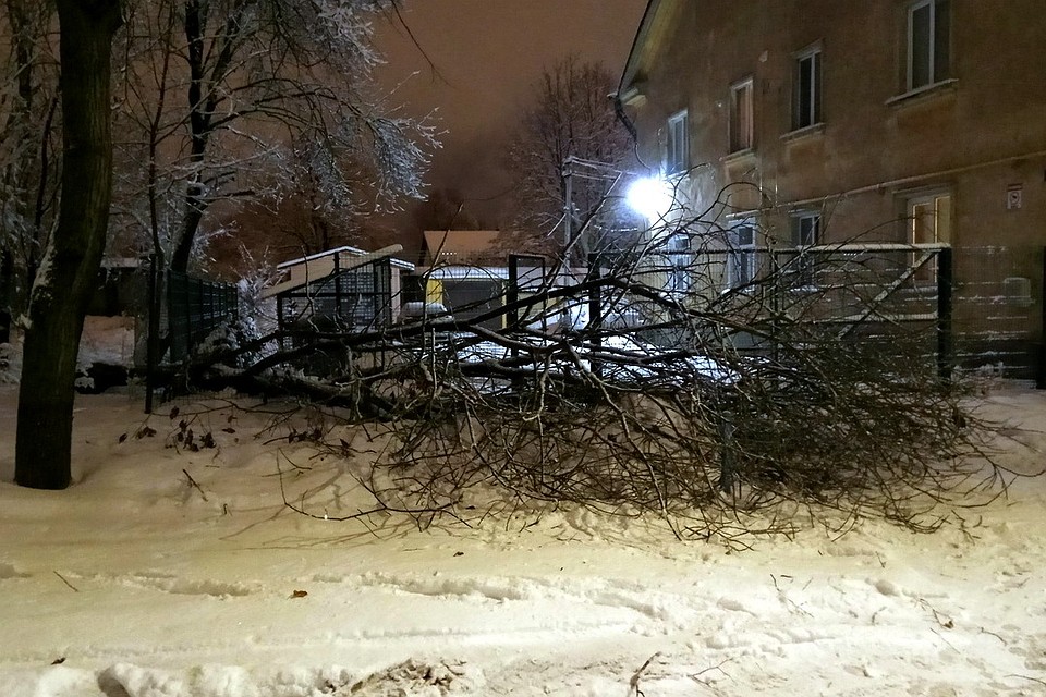 Упавшее дерево также повредило ограждение дома №5 по улице Пароменской. Фото: Юрий Иванов.