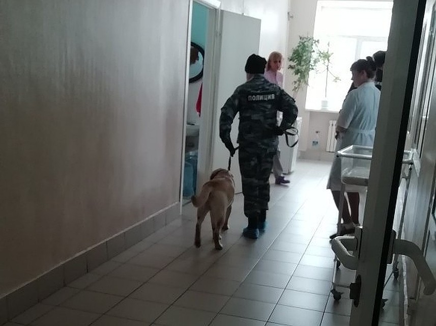 "Террористы" сообщили о минировании школы, колледжа, больницы и компании "Газпром Авиа"