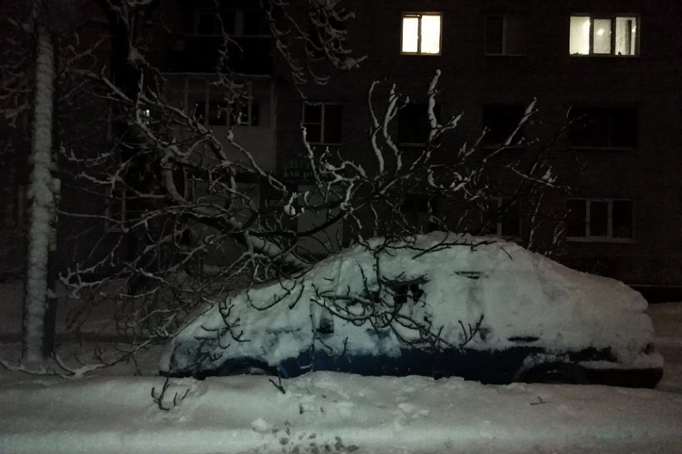Многим автовладельцам, которые припарковали свои автомобили под деревьями, не повезло. Фото: Юлия Суворова.