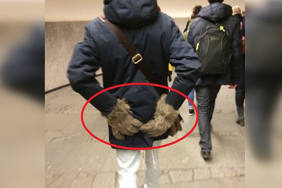 Как вам такие перчатки?