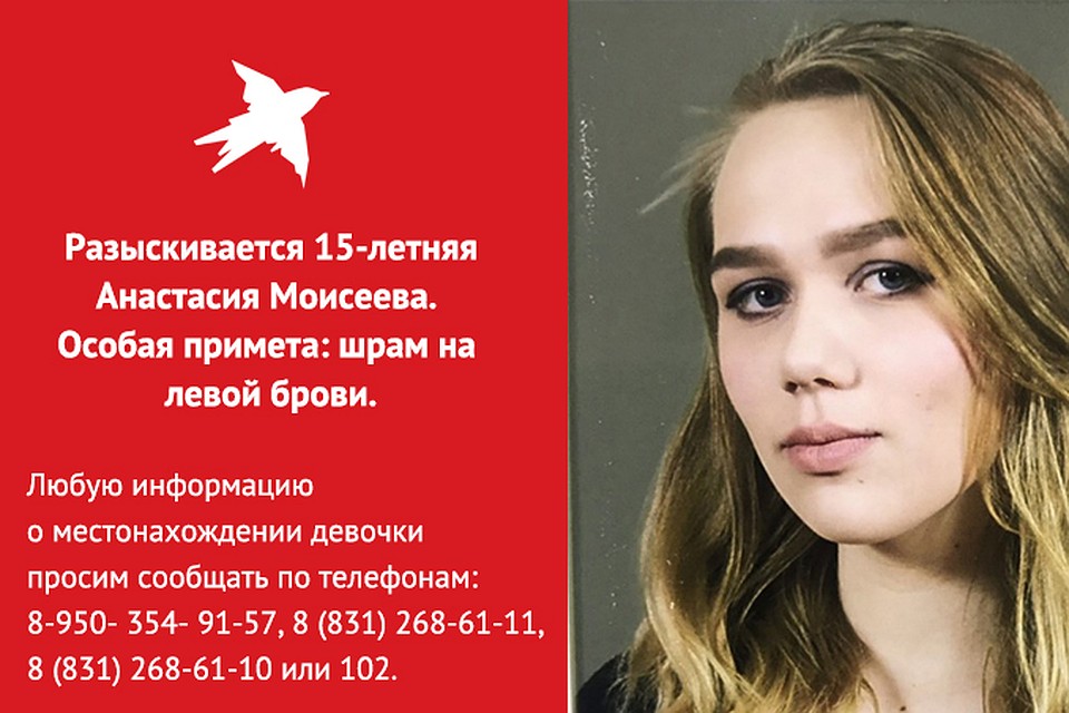 Фото: ГУ МВД по Нижнему Новгороду