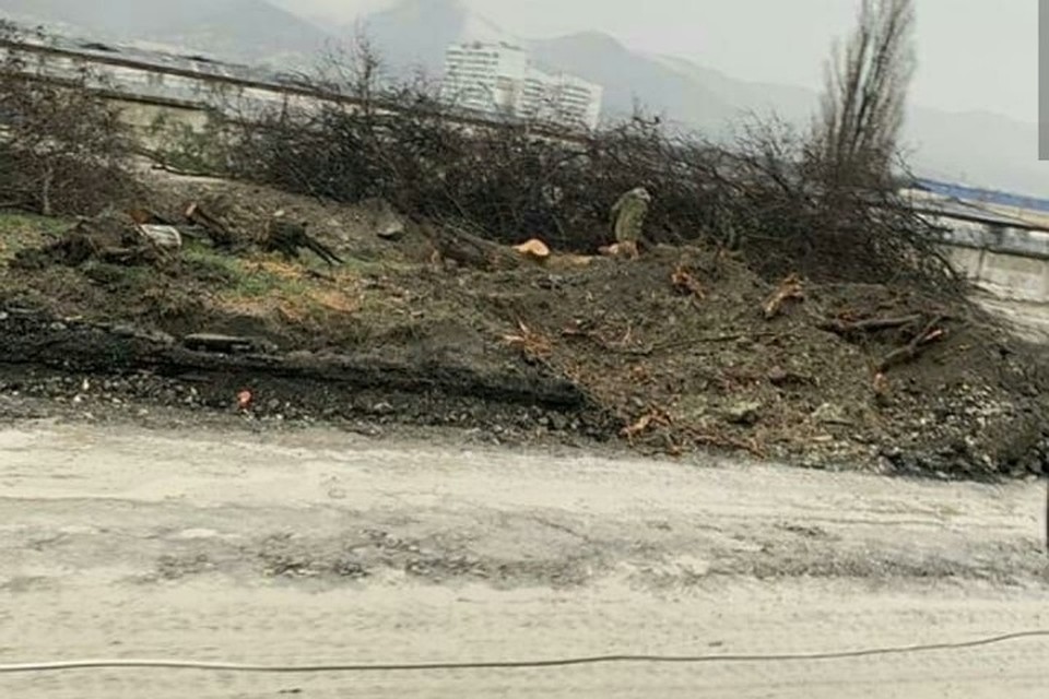 Фото: соцсетти