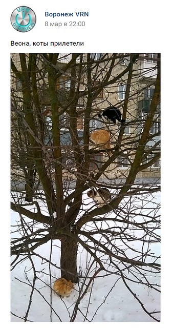 Фото: скриншот соцсети.