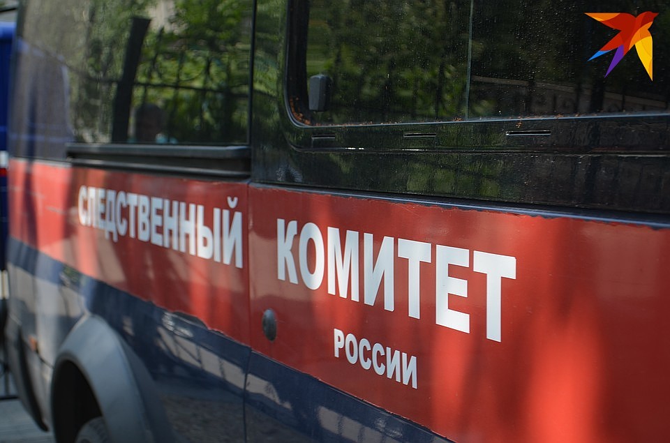 По результатам проверки будет принято процессуальное решение.
