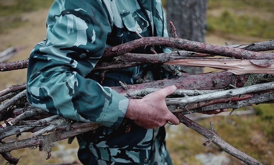 Фото пресс-службы управления лесного и охотничьего хозяйства Белгородской области.