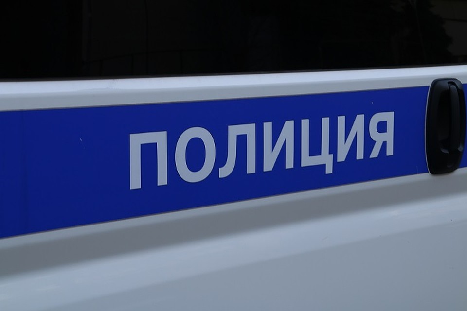 Подозреваемую задержали и взяли под стражу.