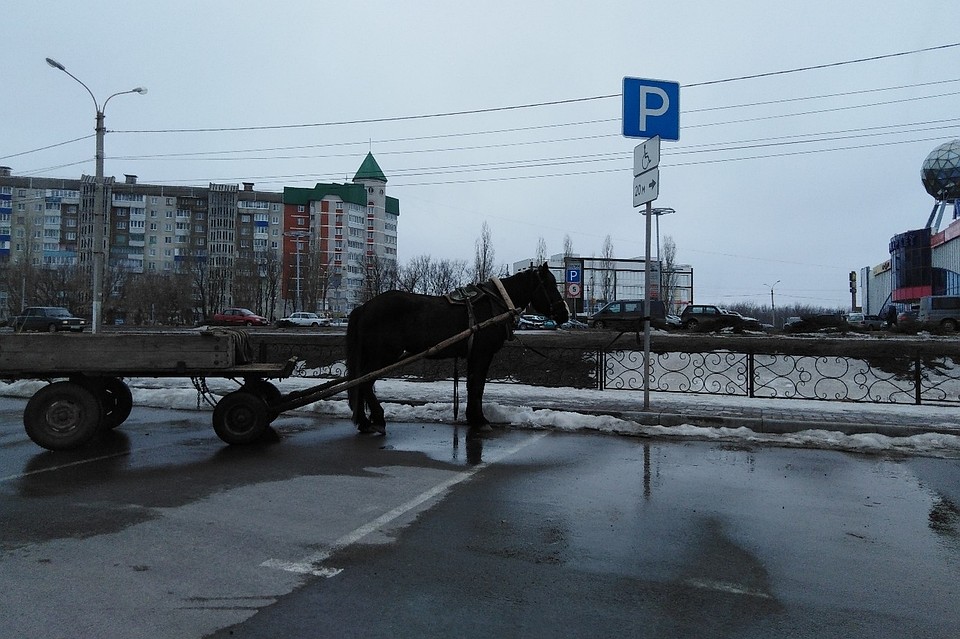 Фото "ДТП Елец"