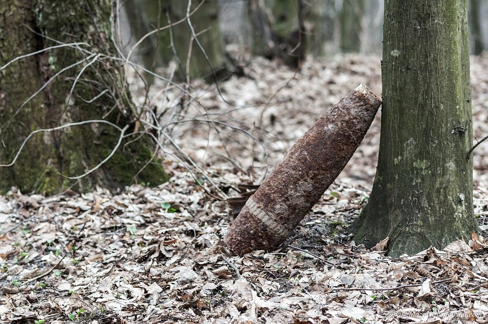 В лесах Гродненской области нашли снаряд и две гранаты. Фото: УВД Гродно