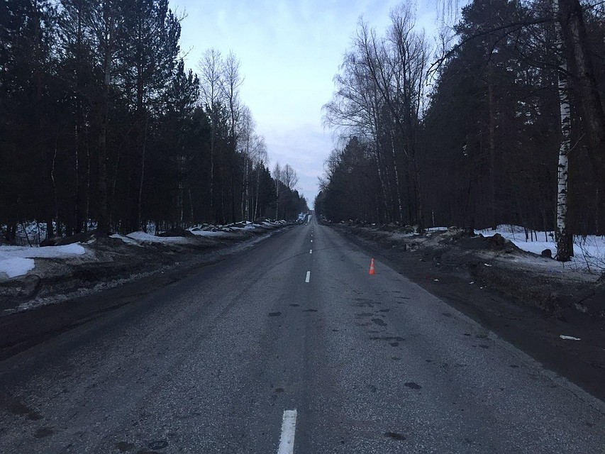 Фото: ГУ МВД по Самарской области