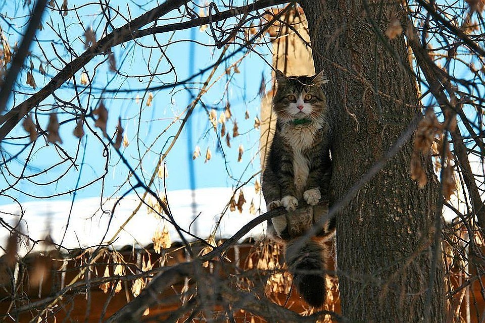 В Приамурье наконец-то пришла не календарная, самая настоящая весна.