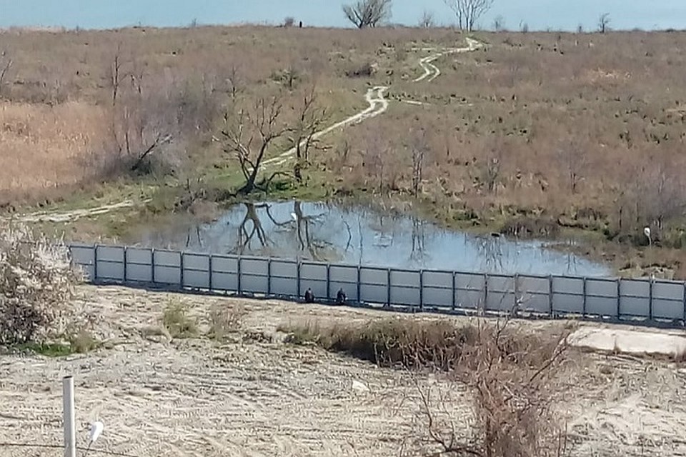 Два охранника начали вырывать растения\ФОТО: Татьяна Трибрат