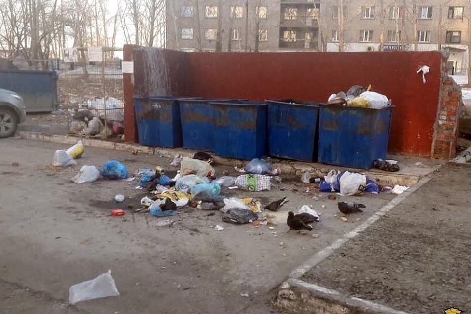 В некоторых дворах микрорайонов «КСМ» и «Березовое» ситуация с мусором возмущает жителей.