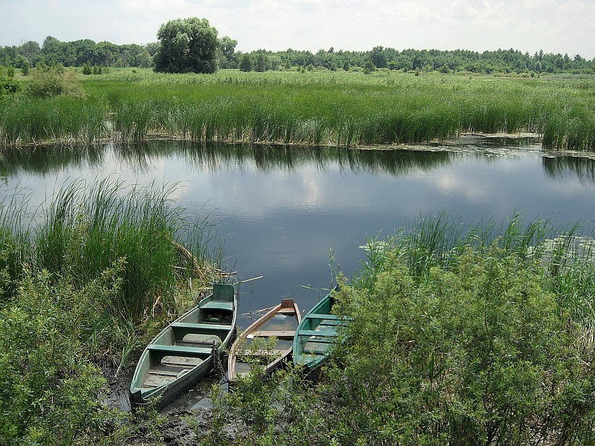 Команды будут выходить на воду на маломерных судах.