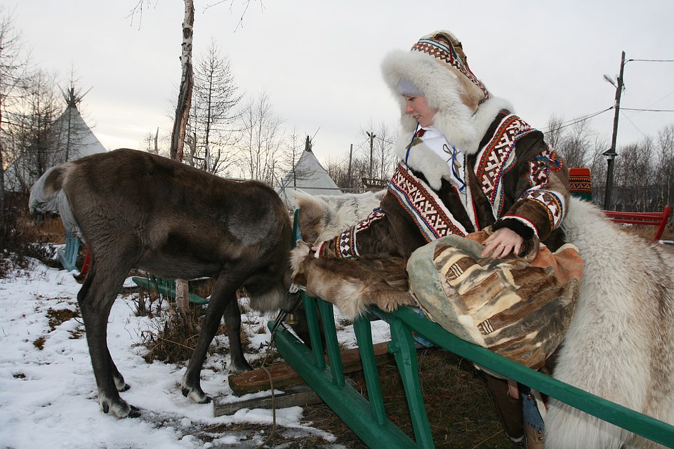 В Аксарке стартует День оленевода. Фото администрации Приуральского района