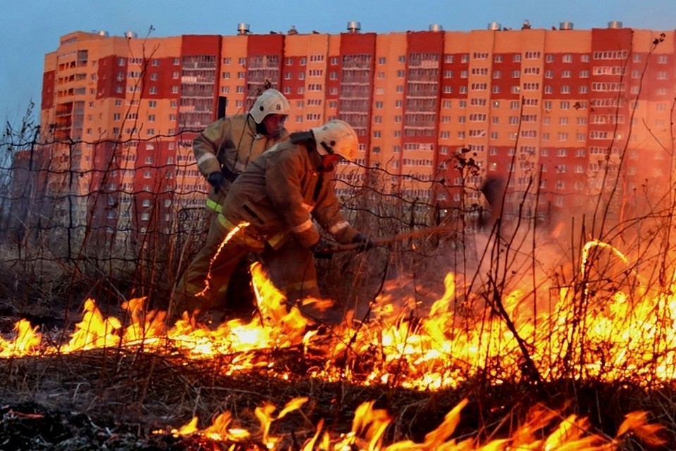 Фото: Пресс-служба Главного Управления МЧС России по Рязанской области.